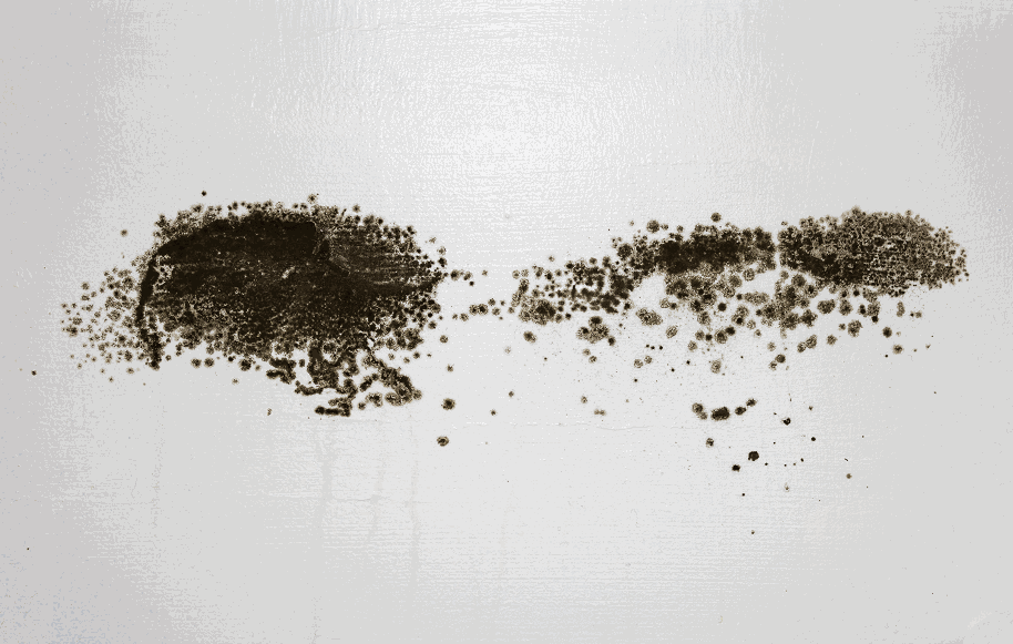 Dark mold spots spreading across a white textured wall surface, somber indoor lighting